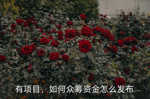有項目，如何眾籌資金怎么發(fā)布