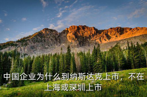中國企業(yè)為什么到納斯達克上市，不在上?；蛏钲谏鲜? class=
