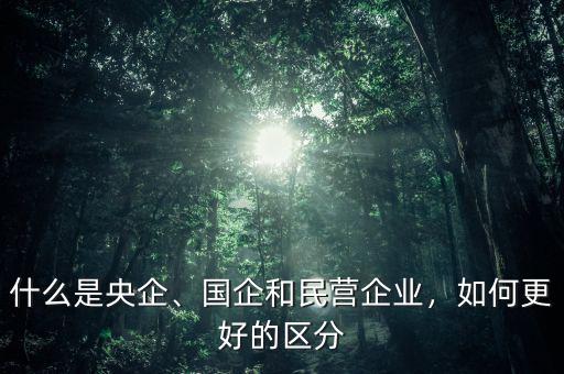 什么是央企、國企和民營企業(yè)，如何更好的區(qū)分