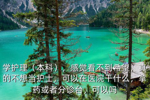 學(xué)護(hù)理（本科），感覺看不到希望，真的不想當(dāng)護(hù)士，可以在醫(yī)院干什么，拿藥或者分診臺，可以嗎