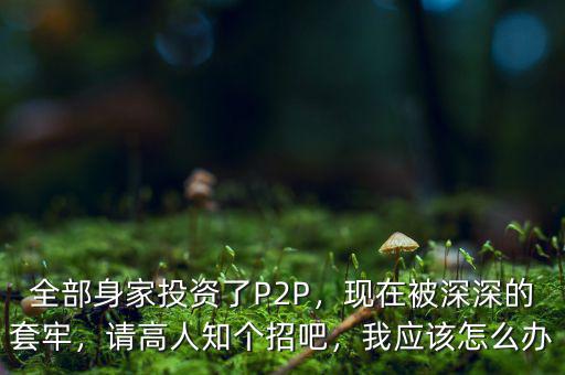 全部身家投資了P2P，現(xiàn)在被深深的套牢，請高人知個(gè)招吧，我應(yīng)該怎么辦