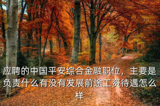 應(yīng)聘的中國平安綜合金融職位，主要是負(fù)責(zé)什么有沒有發(fā)展前途工資待遇怎么樣
