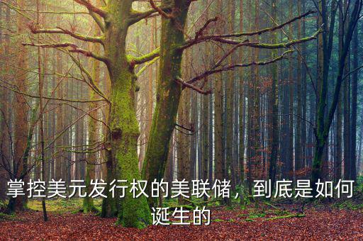 掌控美元發(fā)行權(quán)的美聯(lián)儲，到底是如何誕生的