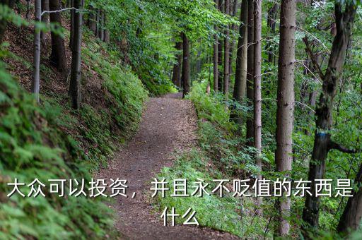 大眾可以投資，并且永不貶值的東西是什么