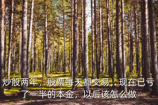炒股兩年，股票每天都交易，現(xiàn)在已虧了一半的本金，以后該怎么做