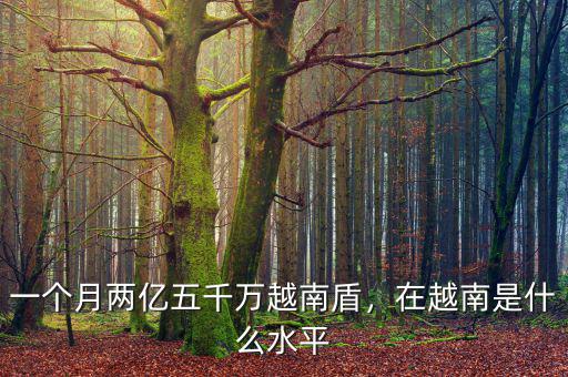 一個月兩億五千萬越南盾，在越南是什么水平