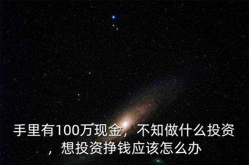 手里有100萬現(xiàn)金，不知做什么投資，想投資掙錢應(yīng)該怎么辦