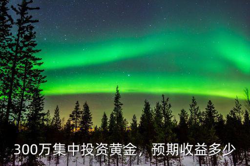 300萬集中投資黃金，預(yù)期收益多少