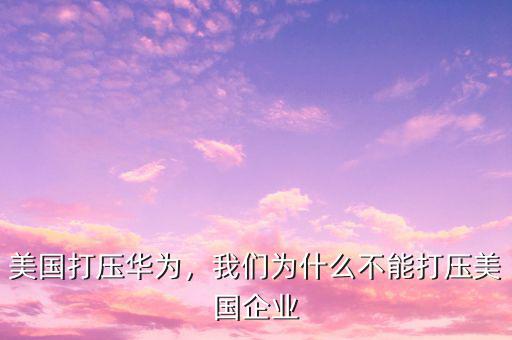 美國打壓華為，我們?yōu)槭裁床荒艽驂好绹髽I(yè)