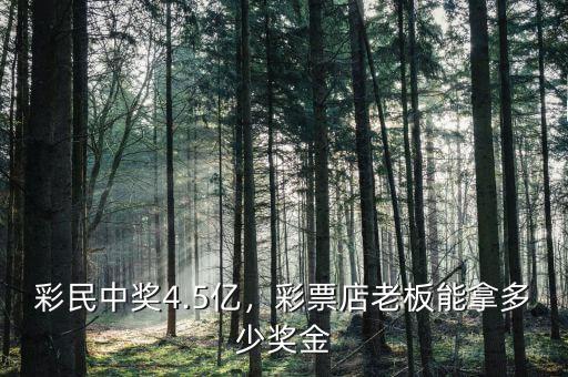 正峰彩票多少錢(qián),彩票店老板能拿多少獎(jiǎng)金