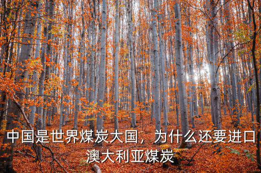 中國是世界煤炭大國，為什么還要進口澳大利亞煤炭