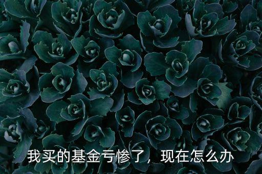 我買的基金虧慘了，現(xiàn)在怎么辦
