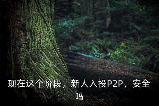 現(xiàn)在這個(gè)階段，新人入投P2P，安全嗎