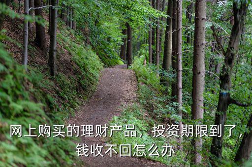 網(wǎng)上購買的理財(cái)產(chǎn)品，投資期限到了，錢收不回怎么辦