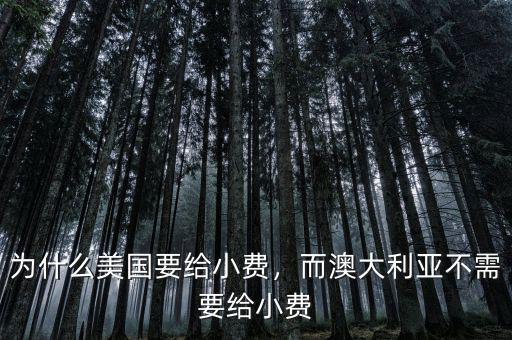 為什么美國要給小費，而澳大利亞不需要給小費