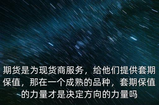 什么是期貨套期保值,期貨是為現貨商服務