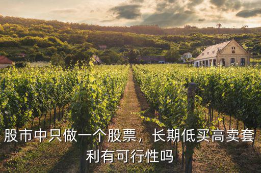 股市中只做一個股票，長期低買高賣套利有可行性嗎