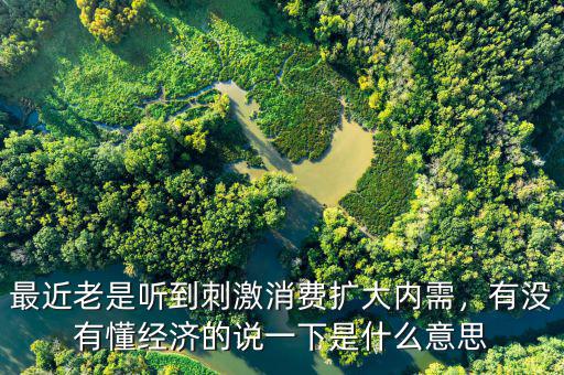 最近老是聽到刺激消費擴大內需，有沒有懂經濟的說一下是什么意思