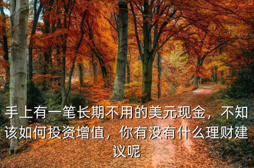 手上有一筆長期不用的美元現(xiàn)金，不知該如何投資增值，你有沒有什么理財建議呢