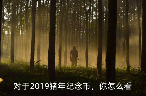 對于2019豬年紀念幣，你怎么看