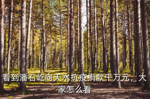 看到潘石屹向天水抗疫捐款千萬元，大家怎么看