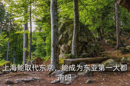 上海能取代東京，能成為東亞第一大都市嗎