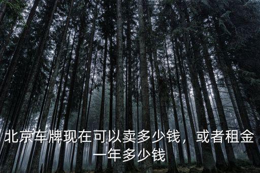 北京車牌現(xiàn)在可以賣多少錢，或者租金一年多少錢