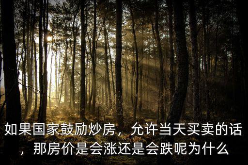 如果國家鼓勵(lì)炒房，允許當(dāng)天買賣的話，那房價(jià)是會(huì)漲還是會(huì)跌呢為什么