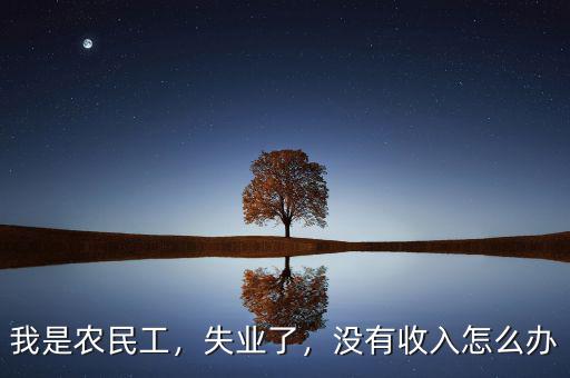 我是農(nóng)民工，失業(yè)了，沒(méi)有收入怎么辦
