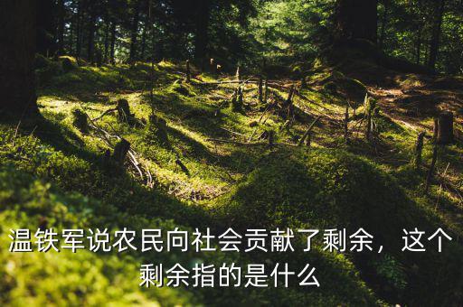 溫鐵軍說(shuō)農(nóng)民向社會(huì)貢獻(xiàn)了剩余，這個(gè)剩余指的是什么
