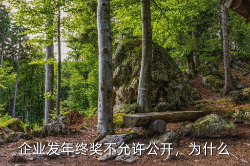 企業(yè)發(fā)年終獎(jiǎng)不允許公開，為什么