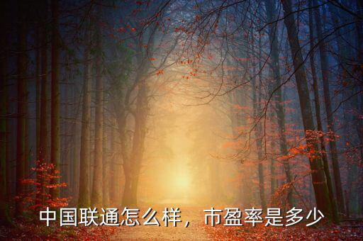 中國(guó)聯(lián)通怎么樣，市盈率是多少