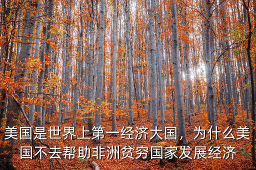 美國是世界上第一經(jīng)濟大國，為什么美國不去幫助非洲貧窮國家發(fā)展經(jīng)濟