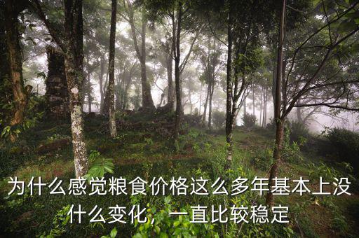 為什么感覺(jué)糧食價(jià)格這么多年基本上沒(méi)什么變化，一直比較穩(wěn)定