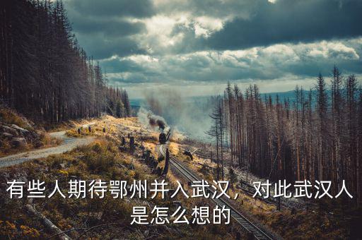 有些人期待鄂州并入武漢，對此武漢人是怎么想的