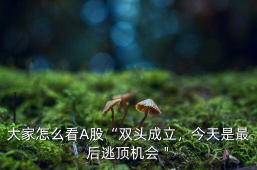 大家怎么看A股“雙頭成立，今天是最后逃頂機會＂