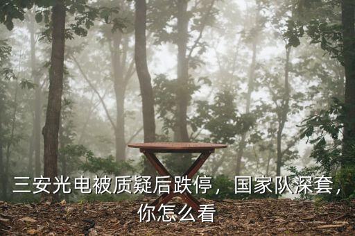 三安光電被質(zhì)疑后跌停，國家隊深套，你怎么看