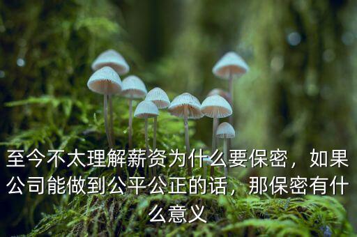 至今不太理解薪資為什么要保密，如果公司能做到公平公正的話，那保密有什么意義