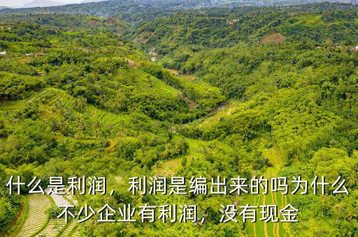 什么是利潤，利潤是編出來的嗎為什么不少企業(yè)有利潤，沒有現(xiàn)金