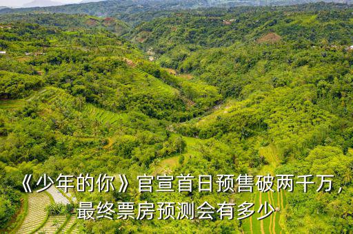 《少年的你》官宣首日預售破兩千萬，最終票房預測會有多少