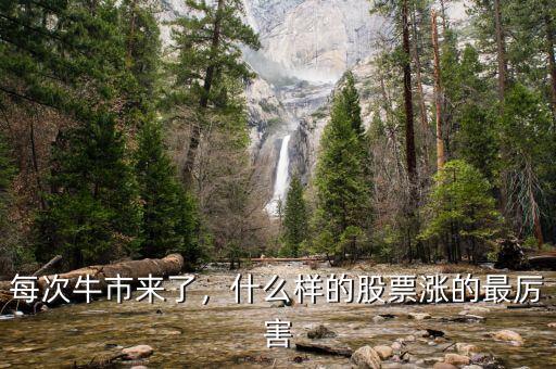 每次牛市來(lái)了，什么樣的股票漲的最厲害