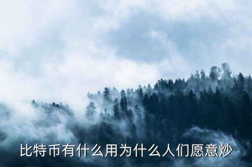比特幣有什么用為什么人們?cè)敢獬? class=