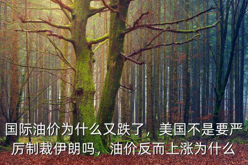 國際油價為什么又跌了，美國不是要嚴厲制裁伊朗嗎，油價反而上漲為什么