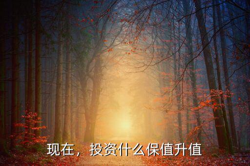 現(xiàn)在，投資什么保值升值