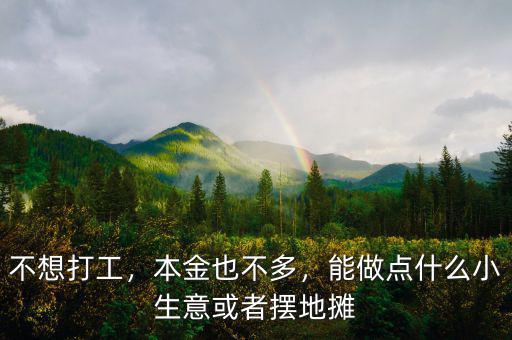 不想打工，本金也不多，能做點(diǎn)什么小生意或者擺地?cái)? class=