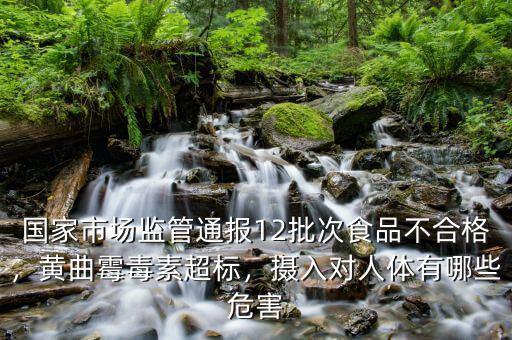 國家市場(chǎng)監(jiān)管通報(bào)12批次食品不合格，黃曲霉毒素超標(biāo)，攝入對(duì)人體有哪些危害