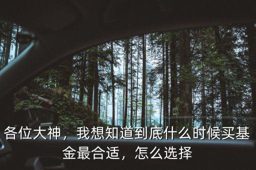 各位大神，我想知道到底什么時(shí)候買基金最合適，怎么選擇