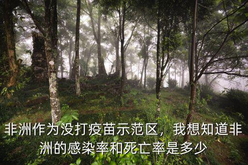 非洲作為沒打疫苗示范區(qū)，我想知道非洲的感染率和死亡率是多少
