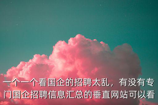 一個(gè)一個(gè)看國(guó)企的招聘太亂，有沒(méi)有專門國(guó)企招聘信息匯總的垂直網(wǎng)站可以看