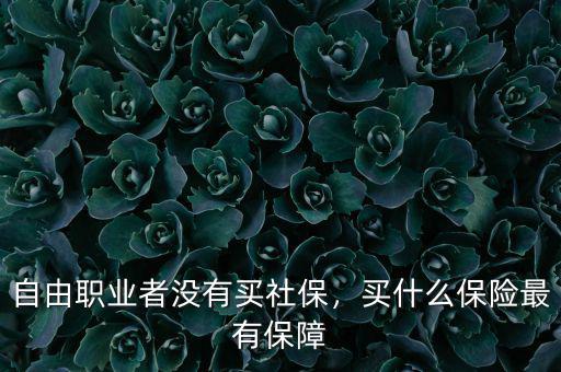 自由職業(yè)者沒有買社保，買什么保險最有保障